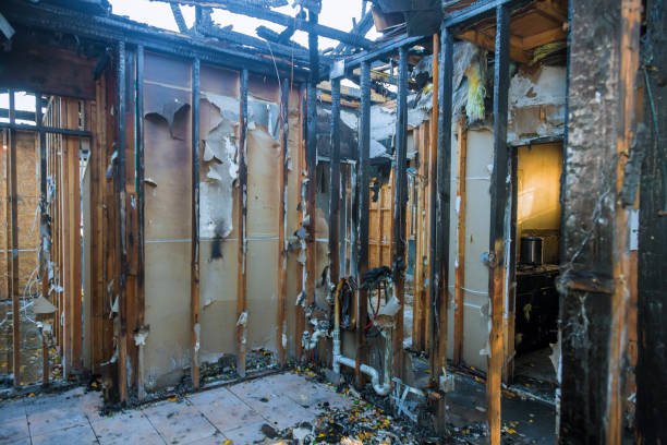 Professional Fire Damage Removal technician working in Cannon Falls, MN