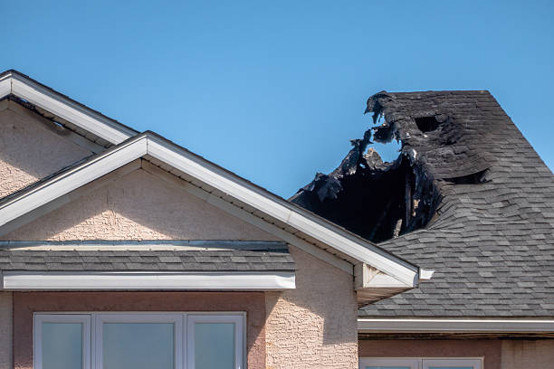 Top rated local Fire Damage Removal specialists in Cannon Falls, MN